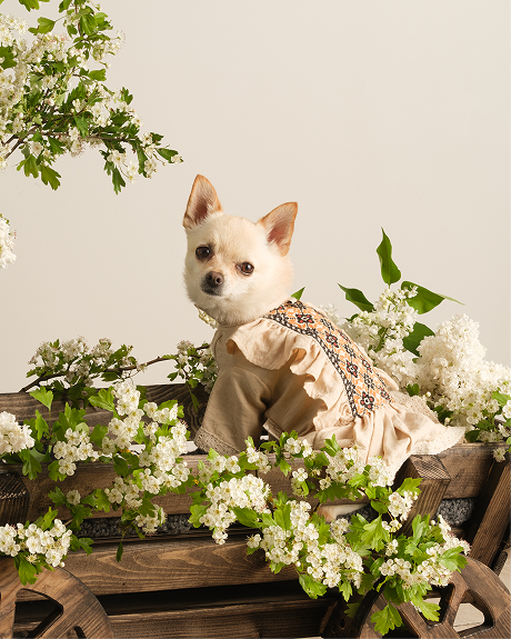 IMG_20250514_223247_844 2